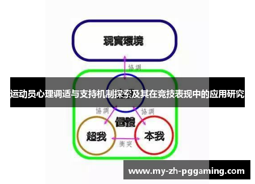 运动员心理调适与支持机制探索及其在竞技表现中的应用研究 运动员心理调适与支持机制探索及其在竞技表现中的应用研究