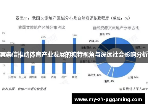 蔡崇信推动体育产业发展的独特视角与深远社会影响分析